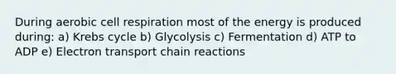 During aerobic cell respiration most of the energy is produced during: a) Krebs cycle b) Glycolysis c) Fermentation d) ATP to ADP e) Electron transport chain reactions