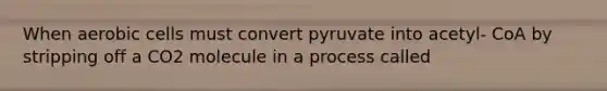 When aerobic cells must convert pyruvate into acetyl- CoA by stripping off a CO2 molecule in a process called