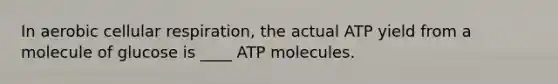 In aerobic cellular respiration, the actual ATP yield from a molecule of glucose is ____ ATP molecules.