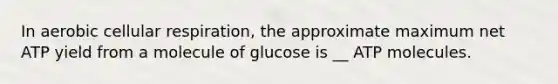 In aerobic cellular respiration, the approximate maximum net ATP yield from a molecule of glucose is __ ATP molecules.