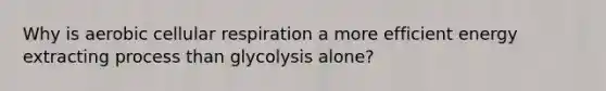 Why is aerobic <a href='https://www.questionai.com/knowledge/k1IqNYBAJw-cellular-respiration' class='anchor-knowledge'>cellular respiration</a> a more efficient energy extracting process than glycolysis alone?