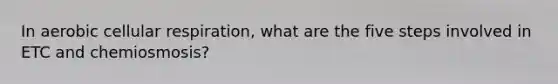 In aerobic cellular respiration, what are the five steps involved in ETC and chemiosmosis?