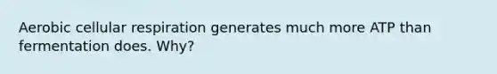 Aerobic cellular respiration generates much more ATP than fermentation does. Why?