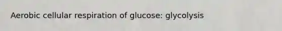 Aerobic cellular respiration of glucose: glycolysis