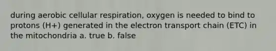 during aerobic cellular respiration, oxygen is needed to bind to protons (H+) generated in the electron transport chain (ETC) in the mitochondria a. true b. false