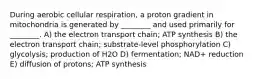 During aerobic cellular respiration, a proton gradient in mitochondria is generated by ________ and used primarily for ________. A) the electron transport chain; ATP synthesis B) the electron transport chain; substrate-level phosphorylation C) glycolysis; production of H2O D) fermentation; NAD+ reduction E) diffusion of protons; ATP synthesis