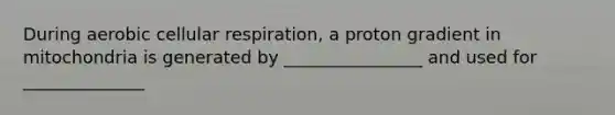 During aerobic cellular respiration, a proton gradient in mitochondria is generated by ________________ and used for ______________