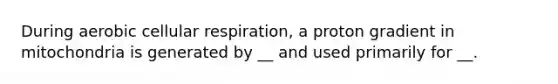 During aerobic cellular respiration, a proton gradient in mitochondria is generated by __ and used primarily for __.