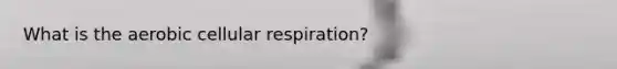 What is the aerobic cellular respiration?