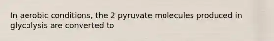 In aerobic conditions, the 2 pyruvate molecules produced in glycolysis are converted to