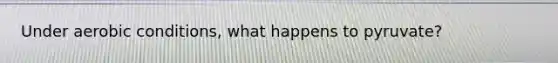 Under aerobic conditions, what happens to pyruvate?