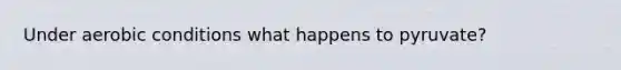 Under aerobic conditions what happens to pyruvate?