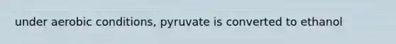 under aerobic conditions, pyruvate is converted to ethanol