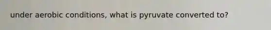 under aerobic conditions, what is pyruvate converted to?