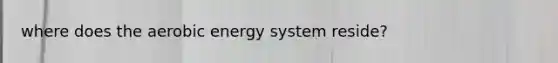 where does the aerobic energy system reside?