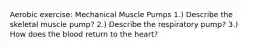 Aerobic exercise: Mechanical Muscle Pumps 1.) Describe the skeletal muscle pump? 2.) Describe the respiratory pump? 3.) How does the blood return to the heart?