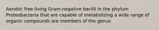 Aerobic free-living Gram-negative bacilli in the phylum Proteobacteria that are capable of metabolizing a wide range of organic compounds are members of the genus