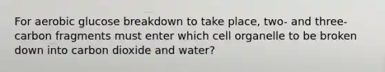 For aerobic glucose breakdown to take place, two- and three-carbon fragments must enter which cell organelle to be broken down into carbon dioxide and water?