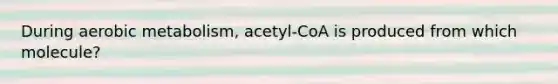 During aerobic metabolism, acetyl-CoA is produced from which molecule?