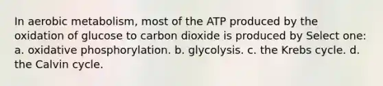 In aerobic metabolism, most of the ATP produced by the oxidation of glucose to carbon dioxide is produced by Select one: a. <a href='https://www.questionai.com/knowledge/kFazUb9IwO-oxidative-phosphorylation' class='anchor-knowledge'>oxidative phosphorylation</a>. b. glycolysis. c. the Krebs cycle. d. the Calvin cycle.