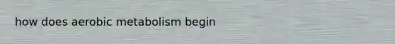 how does aerobic metabolism begin