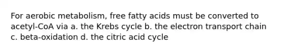 For aerobic metabolism, free fatty acids must be converted to acetyl-CoA via a. the Krebs cycle b. the electron transport chain c. beta-oxidation d. the citric acid cycle