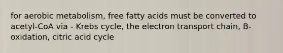 for aerobic metabolism, free fatty acids must be converted to acetyl-CoA via - Krebs cycle, the electron transport chain, B-oxidation, citric acid cycle