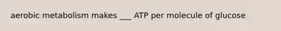 aerobic metabolism makes ___ ATP per molecule of glucose