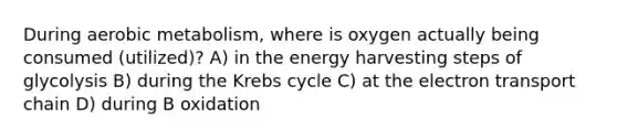 During aerobic metabolism, where is oxygen actually being consumed (utilized)? A) in the energy harvesting steps of glycolysis B) during the <a href='https://www.questionai.com/knowledge/kqfW58SNl2-krebs-cycle' class='anchor-knowledge'>krebs cycle</a> C) at <a href='https://www.questionai.com/knowledge/k57oGBr0HP-the-electron-transport-chain' class='anchor-knowledge'>the electron transport chain</a> D) during B oxidation