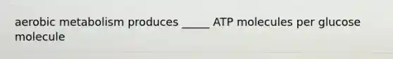 aerobic metabolism produces _____ ATP molecules per glucose molecule