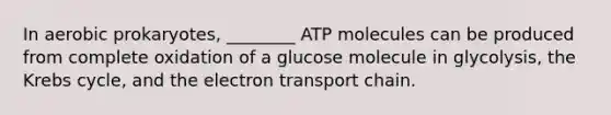 In aerobic prokaryotes, ________ ATP molecules can be produced from complete oxidation of a glucose molecule in glycolysis, the Krebs cycle, and the electron transport chain.