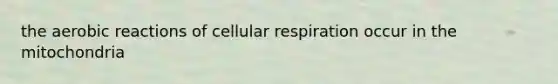 the aerobic reactions of cellular respiration occur in the mitochondria