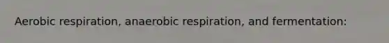 Aerobic respiration, anaerobic respiration, and fermentation: