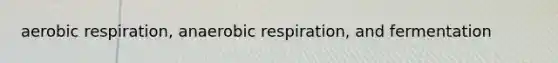 aerobic respiration, anaerobic respiration, and fermentation