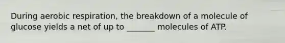 During aerobic respiration, the breakdown of a molecule of glucose yields a net of up to _______ molecules of ATP.