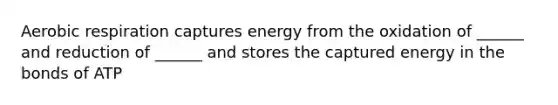 Aerobic respiration captures energy from the oxidation of ______ and reduction of ______ and stores the captured energy in the bonds of ATP