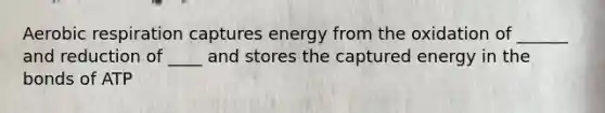 <a href='https://www.questionai.com/knowledge/kyxGdbadrV-aerobic-respiration' class='anchor-knowledge'>aerobic respiration</a> captures energy from the oxidation of ______ and reduction of ____ and stores the captured energy in the bonds of ATP