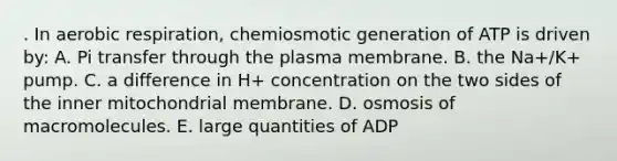 . In <a href='https://www.questionai.com/knowledge/kyxGdbadrV-aerobic-respiration' class='anchor-knowledge'>aerobic respiration</a>, chemiosmotic generation of ATP is driven by: A. Pi transfer through the plasma membrane. B. the Na+/K+ pump. C. a difference in H+ concentration on the two sides of the inner mitochondrial membrane. D. osmosis of macromolecules. E. large quantities of ADP