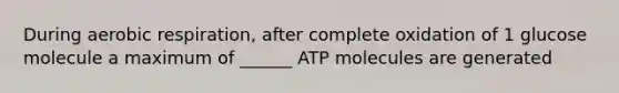 During aerobic respiration, after complete oxidation of 1 glucose molecule a maximum of ______ ATP molecules are generated