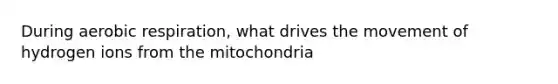 During aerobic respiration, what drives the movement of hydrogen ions from the mitochondria