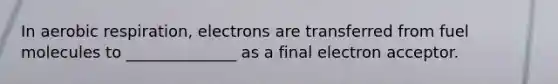 In aerobic respiration, electrons are transferred from fuel molecules to ______________ as a final electron acceptor.