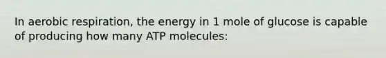 In <a href='https://www.questionai.com/knowledge/kyxGdbadrV-aerobic-respiration' class='anchor-knowledge'>aerobic respiration</a>, the energy in 1 mole of glucose is capable of producing how many ATP molecules: