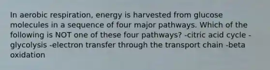 In aerobic respiration, energy is harvested from glucose molecules in a sequence of four major pathways. Which of the following is NOT one of these four pathways? -citric acid cycle -glycolysis -electron transfer through the transport chain -beta oxidation