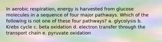 In aerobic respiration, energy is harvested from glucose molecules in a sequence of four major pathways. Which of the following is not one of these four pathways? a. glycolysis b. Krebs cycle c. beta oxidation d. electron transfer through the transport chain e. pyruvate oxidation