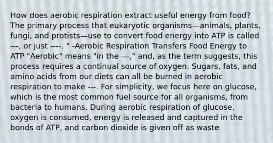 How does aerobic respiration extract useful energy from food? The primary process that eukaryotic organisms—animals, plants, fungi, and protists—use to convert food energy into ATP is called ---, or just ----. " -Aerobic Respiration Transfers Food Energy to ATP "Aerobic" means "in the ---," and, as the term suggests, this process requires a continual source of oxygen. Sugars, fats, and amino acids from our diets can all be burned in aerobic respiration to make ---. For simplicity, we focus here on glucose, which is the most common fuel source for all organisms, from bacteria to humans. During aerobic respiration of glucose, oxygen is consumed, energy is released and captured in the bonds of ATP, and carbon dioxide is given off as waste