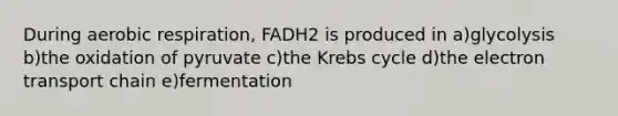 During aerobic respiration, FADH2 is produced in a)glycolysis b)the oxidation of pyruvate c)the Krebs cycle d)the electron transport chain e)fermentation