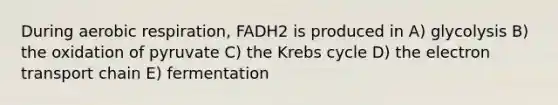 During aerobic respiration, FADH2 is produced in A) glycolysis B) the oxidation of pyruvate C) the Krebs cycle D) the electron transport chain E) fermentation