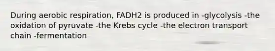 During aerobic respiration, FADH2 is produced in -glycolysis -the oxidation of pyruvate -the Krebs cycle -the electron transport chain -fermentation