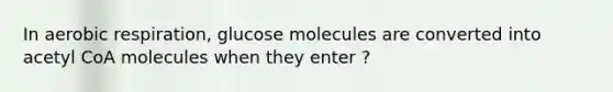 In aerobic respiration, glucose molecules are converted into acetyl CoA molecules when they enter ?