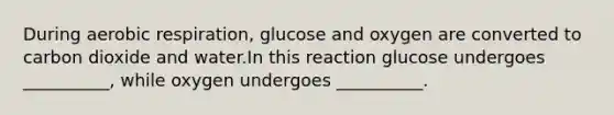 During aerobic respiration, glucose and oxygen are converted to carbon dioxide and water.In this reaction glucose undergoes __________, while oxygen undergoes __________.